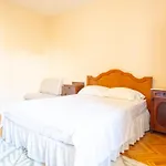 Facini * Košljun